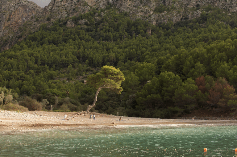 Emociones primarias y secundarias: cómo identificar lo que realmente sientes