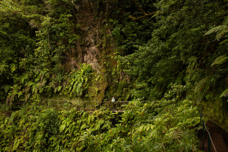 Conflictos familiares